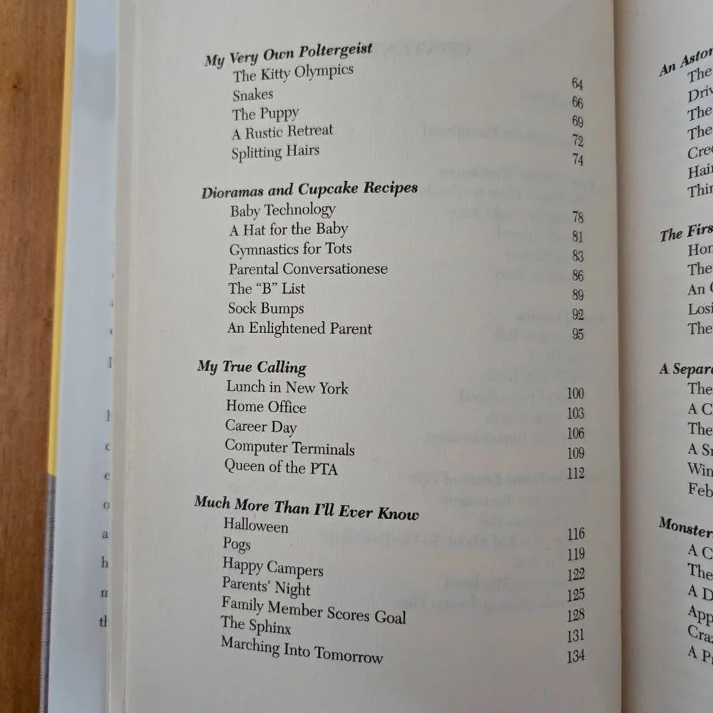 You Might As Well Laugh: Surviving the Joys of Parenthood by Sandi Kahn Shelton - Picture 6 of 10